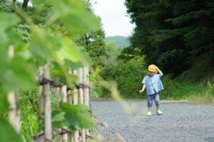川柳センター第1回子ども遊び探検隊参加者募集-10/16記事