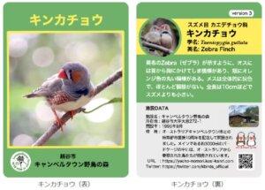 野鳥の森で第3弾オリジナルカードを無料配布-10/20記事
