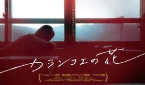 ほっと越谷映画上映「カランコエの花」参加募集-11/27記事