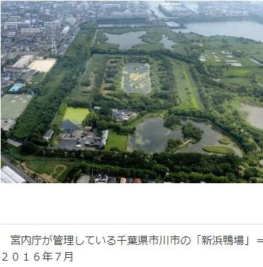 宮内庁、鴨場の見学会を再開 越谷市の埼玉鴨場‐12/24